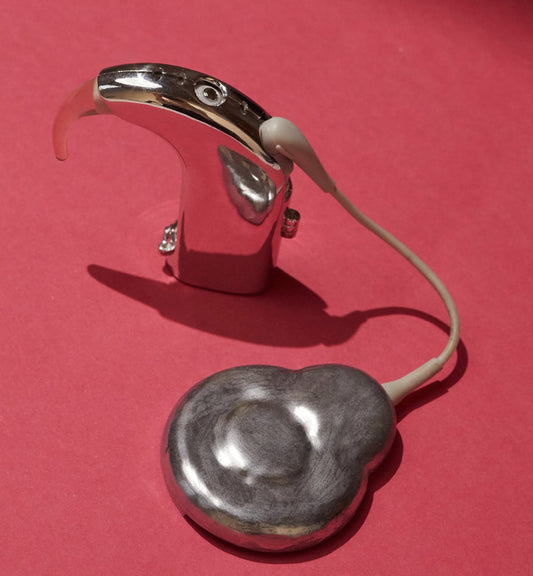 Cochlear Everyday